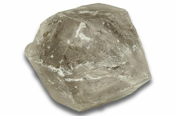 Smoky Elestial Quartz Scepter Head - Brazil #256429